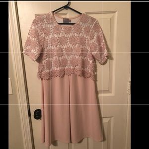 ASOS Lace Dress US 6